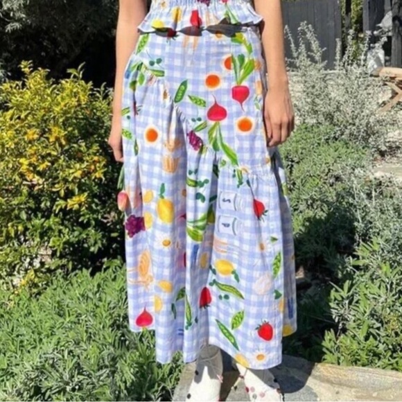 Lisa Says Gah! Maeve picnic alfresco picnic print midi Skirt Size XXL - Picture 1 of 9